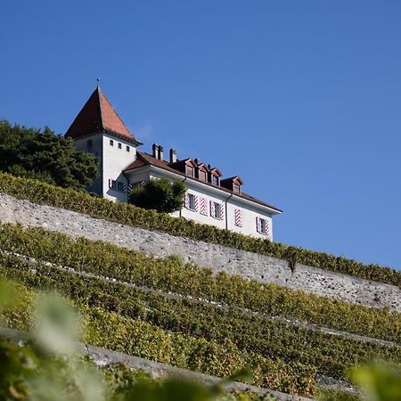 Domaine Du Burignon Saint-Saphorin Exterior foto