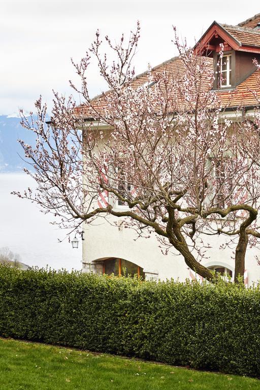 Domaine Du Burignon Saint-Saphorin Exterior foto