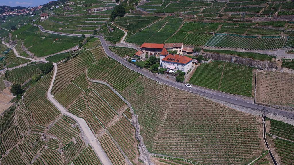 Domaine Du Burignon Saint-Saphorin Exterior foto